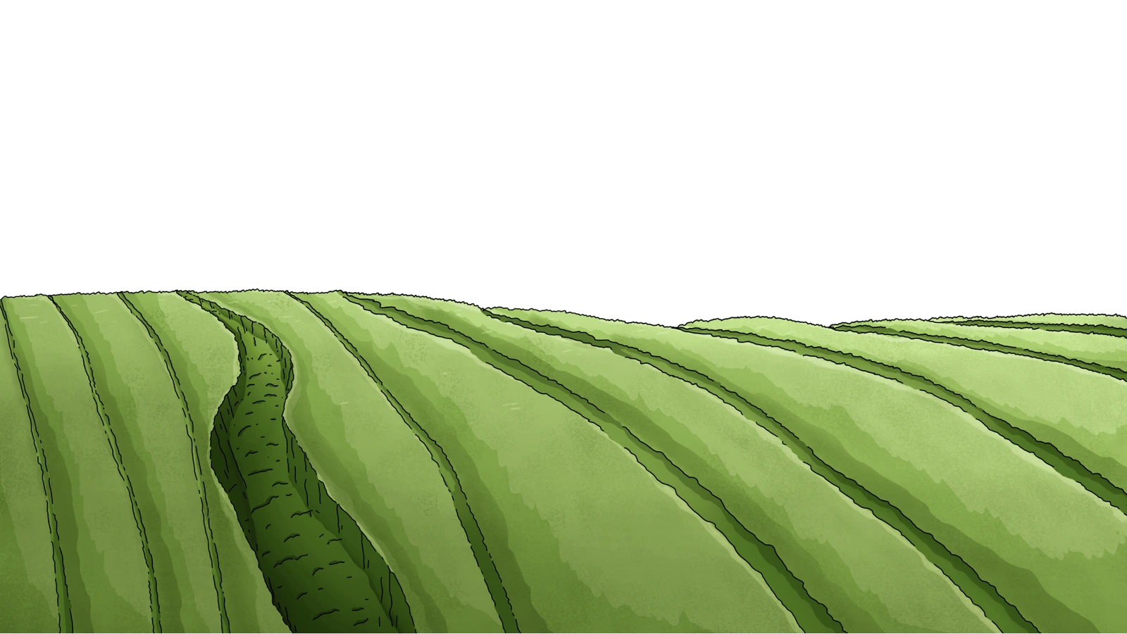 BG