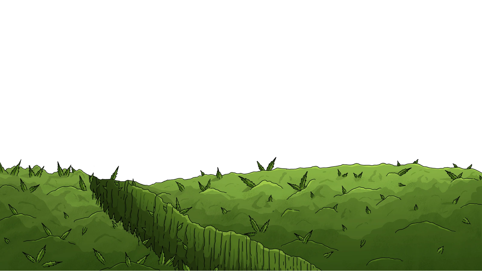 BG